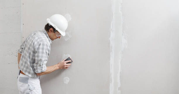 Best Fire-Damaged Drywall Repair  in Beach Park, IL